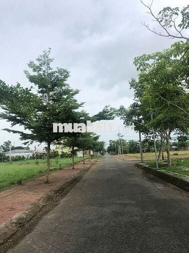 🌳 SỞ HỮU NGAY LÔ ĐẸP – ĐỐI DIỆN CÔNG VIÊN, CẠNH KHU DÂN CƯ HIỆN HỮU 🌳