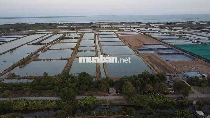 15 Mẫu đất đường xe tải giáp 03 mặt tiền