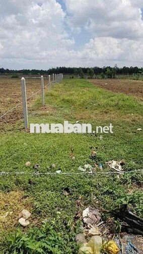 BÁN ĐẤT QUẬN 12 GIÁ TỐT - Khu vực phát triển mạnh, lợi nhuận cao