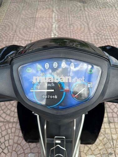 si 50c led 2024 dep vĩnh long