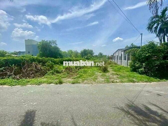 ĐẤT KCN TÂN PHÚ TRUNG, 8MX 38M, GIÁ NGỘP 475 TRIỆU, CÒN THƯƠNG LƯỢNG