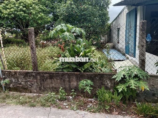 🌷 CHỦ GỬI LÔ ĐẤT SIÊU ĐẸP 100m2 -SÁT ĐƯỜNG NAM KỲ KHỞI NGHĨA-DƯƠNG SƠN