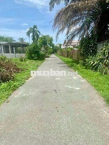 ĐẤT KCN TÂN PHÚ TRUNG, 8MX 38M, GIÁ NGỘP 475 TRIỆU, CÒN THƯƠNG LƯỢNG