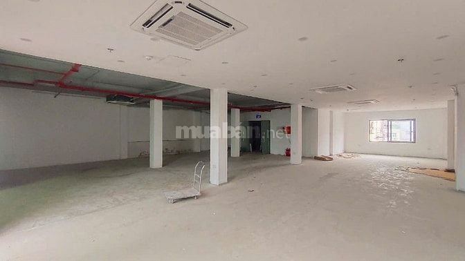 Chính chủ cho thuê VP,MBKD mặt phố Trần Duy Hưng, DT sàn 220m2 55tr