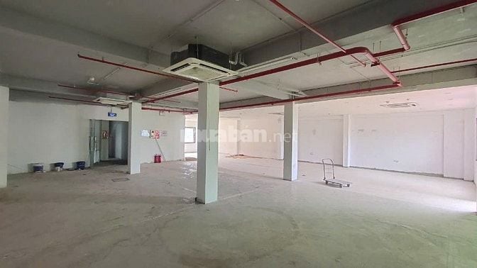 Chính chủ cho thuê VP,MBKD mặt phố Trần Duy Hưng, DT sàn 220m2 55tr