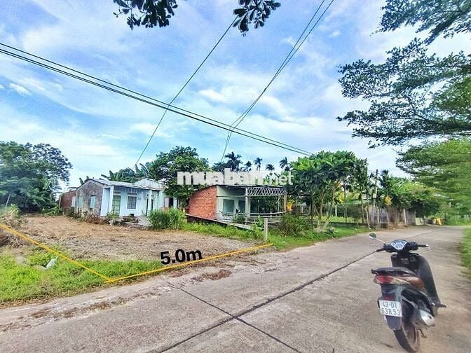Đất Mặt tiền 7m5 . View cánh đồng