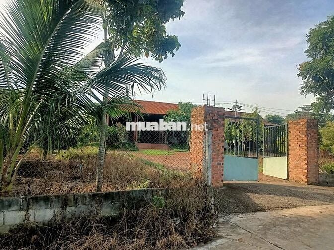 🏡 BÁN ĐẤT NỀN ĐẸP - GIÁ TỐT - THỔ CƯ SẴN 🌴 XUÂN TÂY CẨM MỸ ĐỒNG NAI