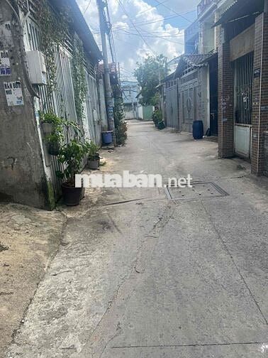 Bán đất diện tích khủng giá tốt