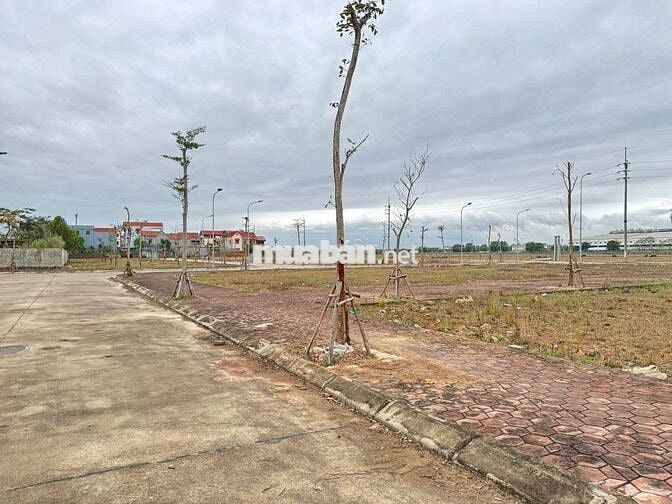 Bán đất đấu giá Bạch Đa, Kim Hoa, Mê Linh, Hà Nội. Gần khu đô thị Kim