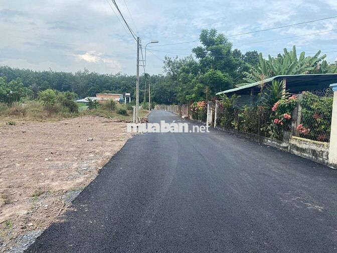 Bán đất xã Nhuận Đức, Củ Chi, DT 100m*26m, đường nhựa 7m, QH đất ONT