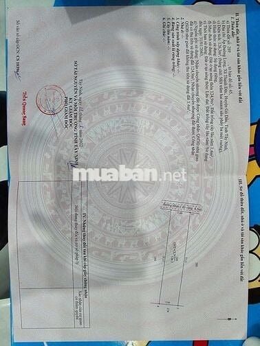 Chính chủ cần bán đất mặt tiền đường nhựa full thổ cư