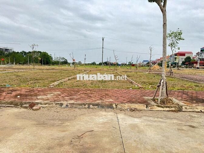 Bán đất đấu giá Bạch Đa, Kim Hoa, Mê Linh, Hà Nội. Gần khu đô thị Kim