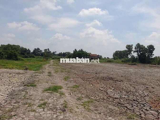 1000m2 Vườn,600tr ,ĐƯỜNG ÔTÔ , TÂN TRỤ LONG AN