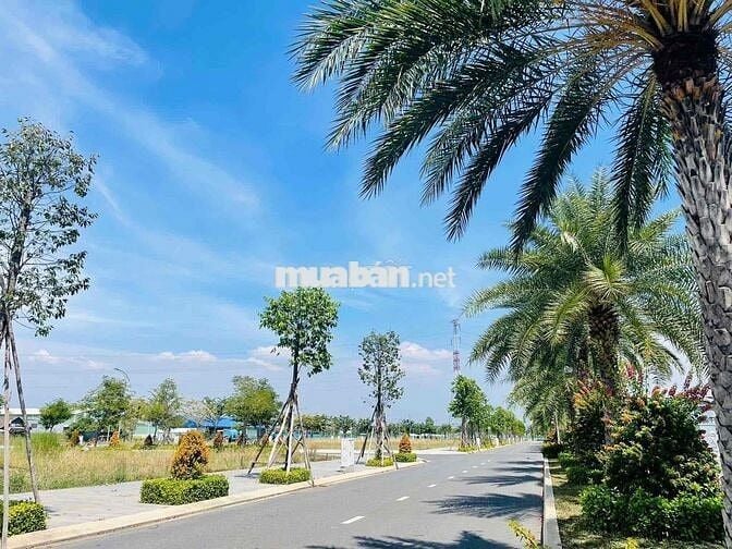 Đất thổ cư, sổ sẵn 90m2 tại Bến Lức, Long An, chính chủ bán