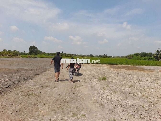 1000m2 Vườn,600tr ,ĐƯỜNG ÔTÔ , TÂN TRỤ LONG AN