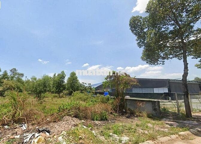 Cần tiền bán mảnh đất 1300m Nguyễn Thị Định giá tốt cho nhà đầu tư