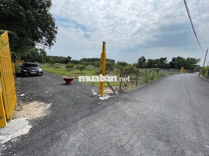 Bán đất xã Nhuận Đức, Củ Chi, DT 100m*26m, đường nhựa 7m, QH đất ONT