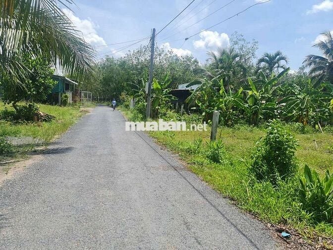 Chính chủ cần bán đất mặt tiền đường nhựa full thổ cư