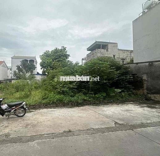 Siêu mẫu , Nguyên khê , Đông Anh 74.6m2 x MT5m ,16 chỗ tránh - giá tốt