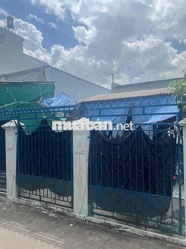 Bán đất diện tích khủng giá tốt