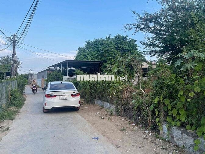 Cần tiền bán gấp 2 lô đất liền kề ngay trung tâm Ninh Phụng Ninh Hoà