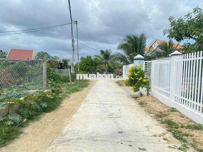 Cần tiền bán gấp 2 lô đất liền kề ngay trung tâm Ninh Phụng Ninh Hoà