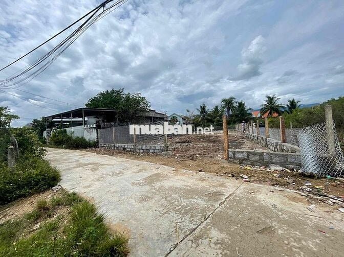 Cần tiền bán gấp 2 lô đất liền kề ngay trung tâm Ninh Phụng Ninh Hoà