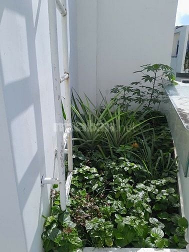 NHÀ 3 MẶT TIỀN SIÊU ĐẸP – VIEW CÔNG VIÊN, KẾ BÊN GLOBAL CITY