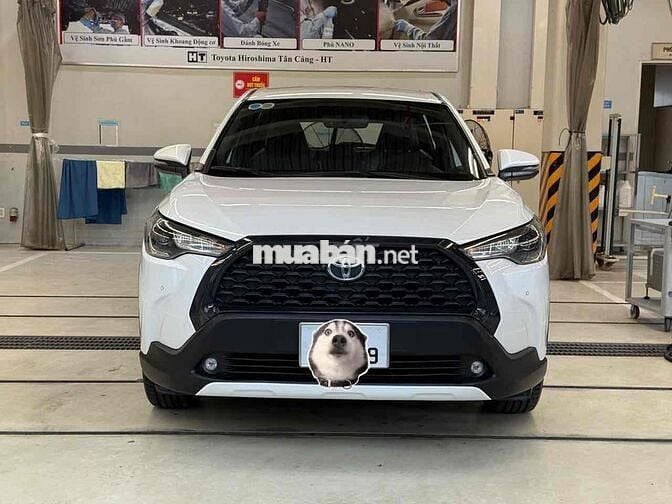 Toyota Corolla Cross 2021 1.8G - 5 Chỗ Gầm Cao