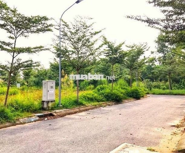 Giỏ hàng KDC Sai Gon South 1181 Lê văn lương Phước Kiển Nhà Bè.