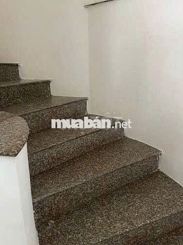 Cho Thuê Nhà Đường Tam Đảo, Quận 10 ( Nhà Rộng - KD Thoải Mái )