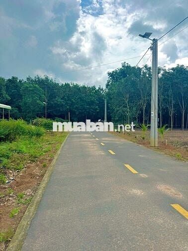 CHÚ EM CẦN RA MIẾNG ĐẤT THỔ CƯ Ở TP HỒ CHÍ MINH 600M2 CHỈ 630TR