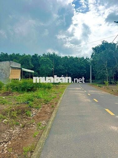 CHÚ EM CẦN RA MIẾNG ĐẤT THỔ CƯ Ở TP HỒ CHÍ MINH 600M2 CHỈ 630TR