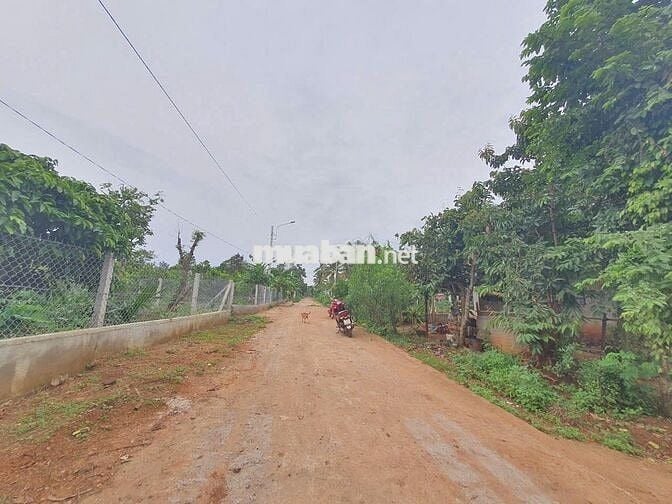🔥 BÁN NHANH TRONG TUẦN – LÔ ĐẤT *** NGUYỄN XUÂN NGUYÊN, EANAO B 🔥