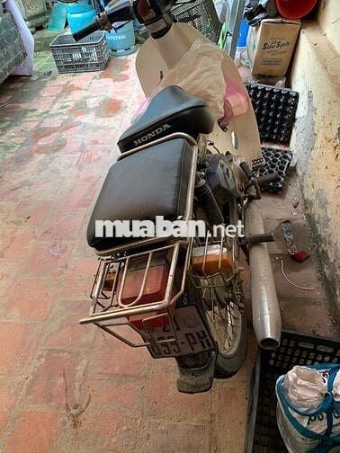 xe cub 82 hơi 50 không cần bằng lái