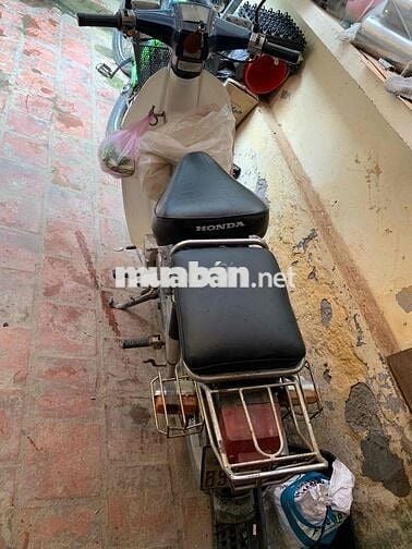 xe cub 82 hơi 50 không cần bằng lái