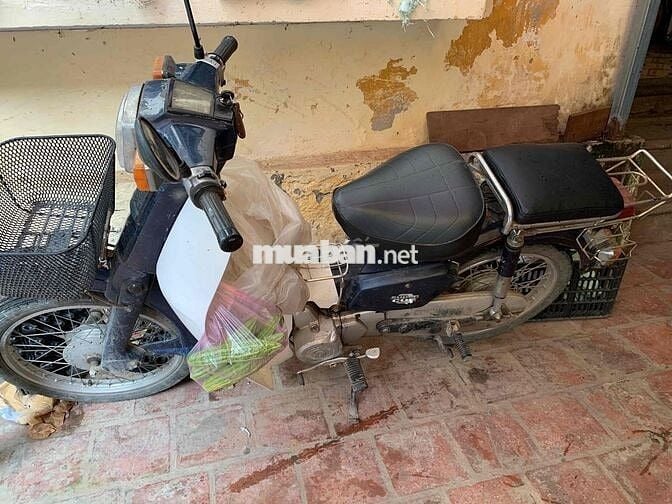 xe cub 82 hơi 50 không cần bằng lái