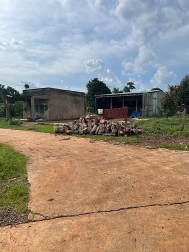 GẤP BÁN MẢNH VƯỜN HƠN 2000m2 GIÁ 450 TRIỆU