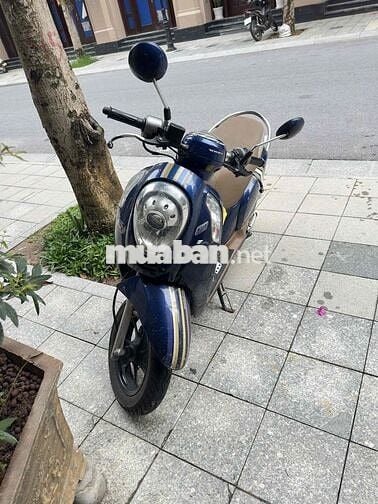 Xe Scoopy nhập Thái đăng ký 2015 gia đình đi