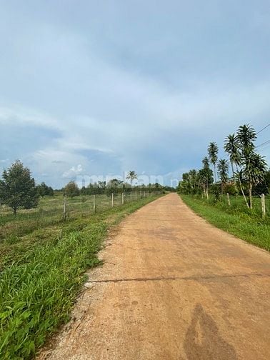 GẤP BÁN MẢNH VƯỜN HƠN 2000m2 GIÁ 450 TRIỆU