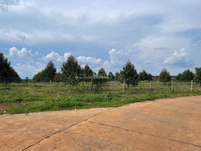 GẤP BÁN MẢNH VƯỜN HƠN 2000m2 GIÁ 450 TRIỆU