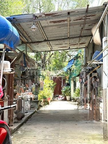 🔵 Bán đất Hưng Long-Nguyễn Văn Long Quy Đức BC gần Cầu Ông Thìn Có sổ