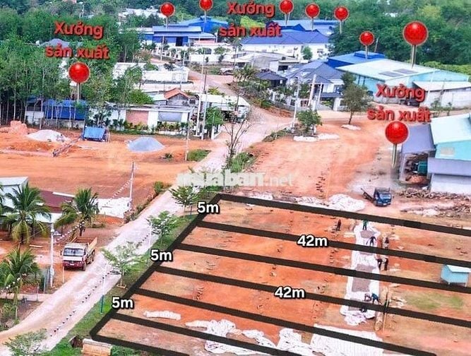 Bán gấp 539tr/1000m2, mặt tiền 25m, sẵn 500m2 thổ, cạnh VX Đồng Xoài