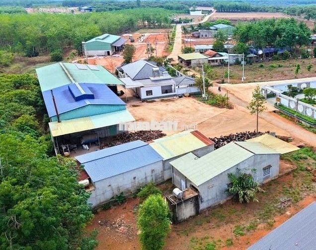 💥 CHỈ 390 TRIỆU SỞ HỮU NGAY LÔ ĐẤT GẦN KCN LỚN - THỔ CƯ -  SỔ RIÊNG💥