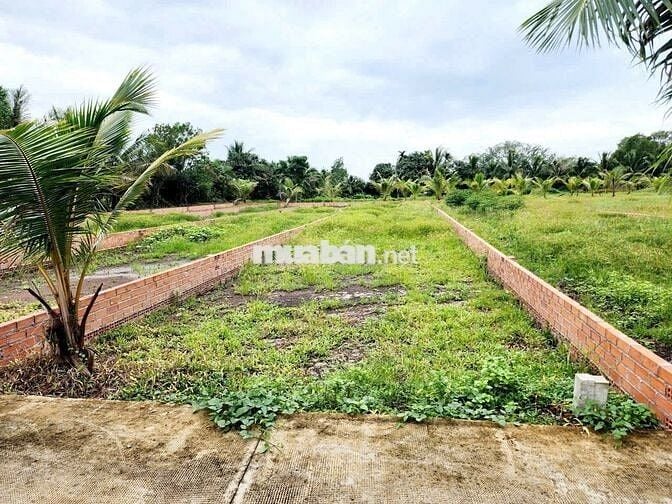 Bán đất vườn thổ cư view kênh mát mẻ 221m2 5x45 giá 950 triệu, sổ hồng