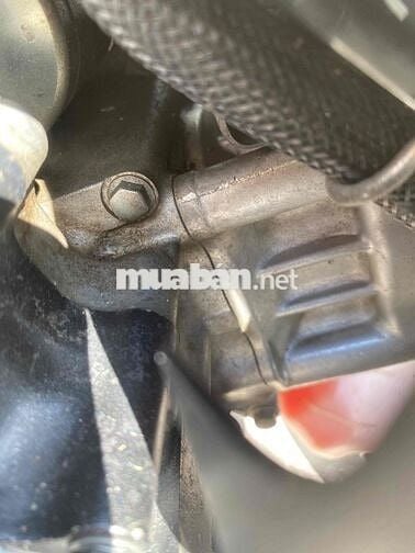 ex 135 xém cọp miền tây. áo mới lột keo