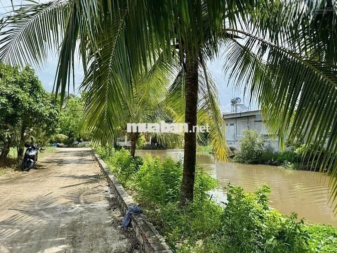 Bán đất vườn thổ cư view kênh mát mẻ 221m2 5x45 giá 950 triệu, sổ hồng