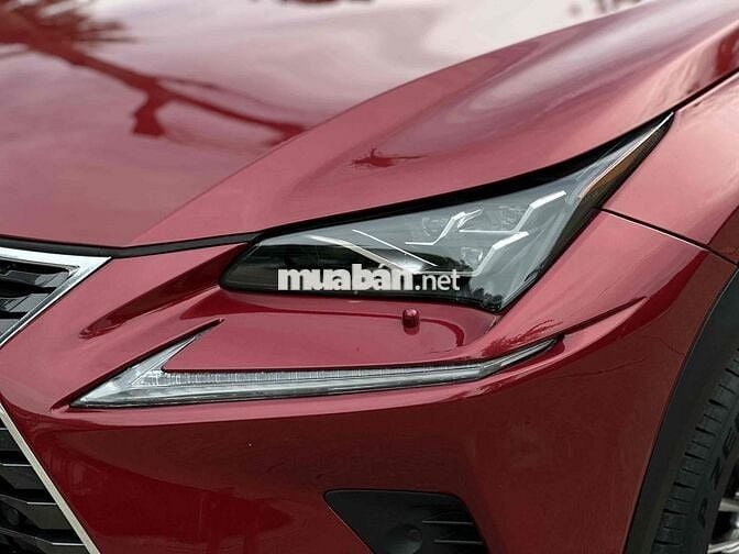 BÁN LEXUS NX 300 SX 2017