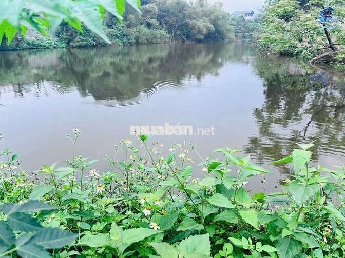 Siêu phẩm nghỉ dưỡng tay chạm nước