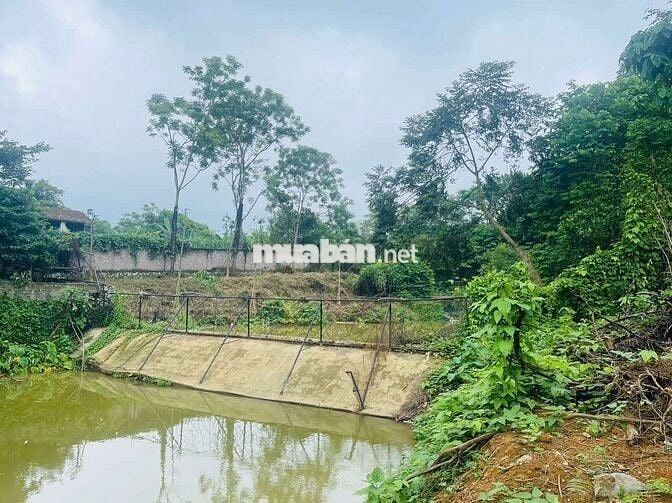 Siêu phẩm nghỉ dưỡng tay chạm nước